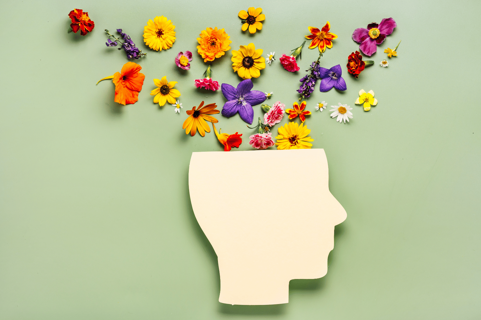Health & Beauty category image