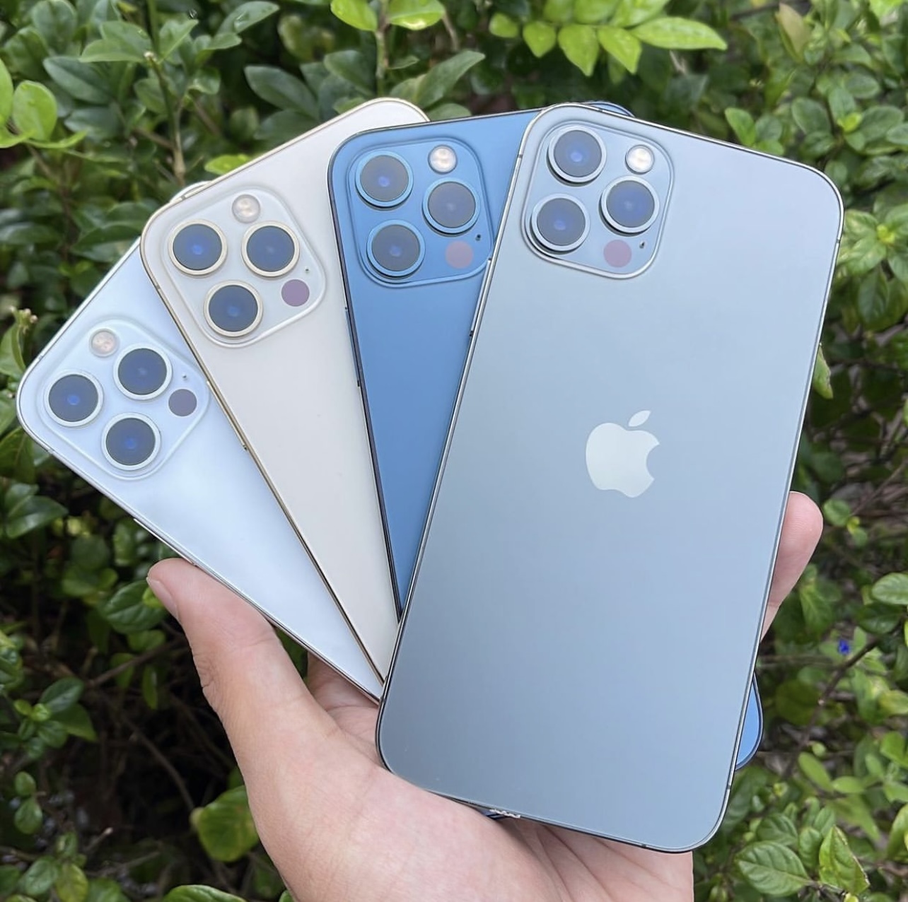 iPhone 12 Pro Max (128GB)