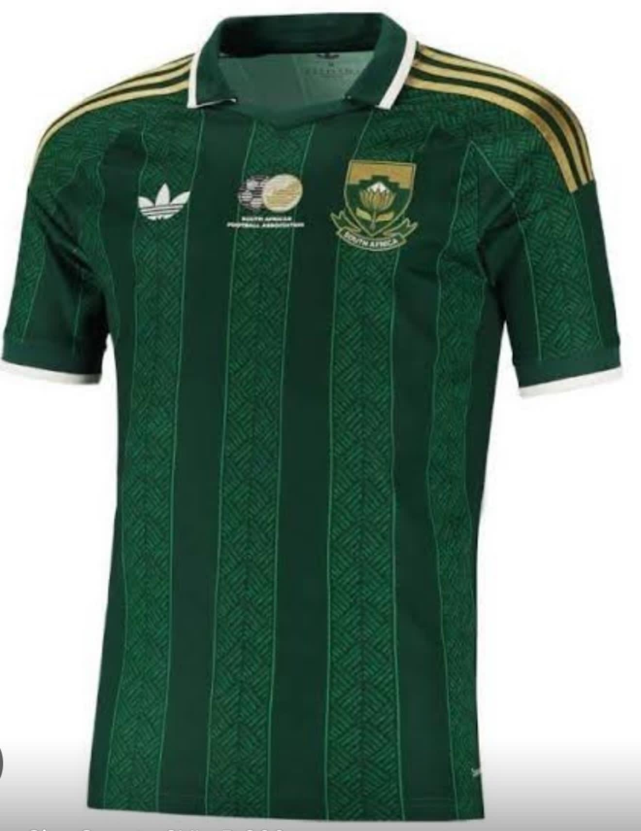 Bafana Bafana South African Football Team